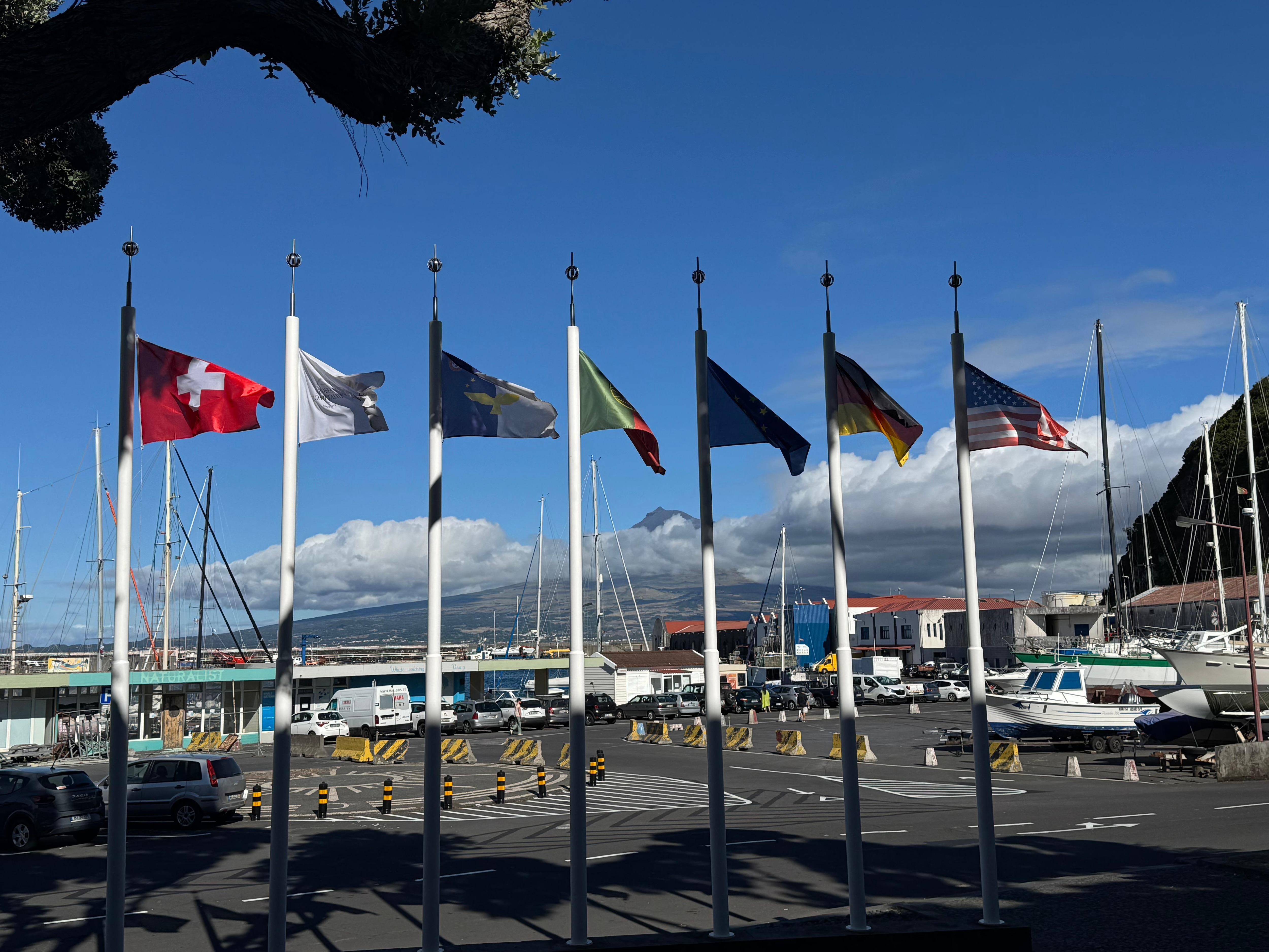 Mount Pico from the hotel entrance. 