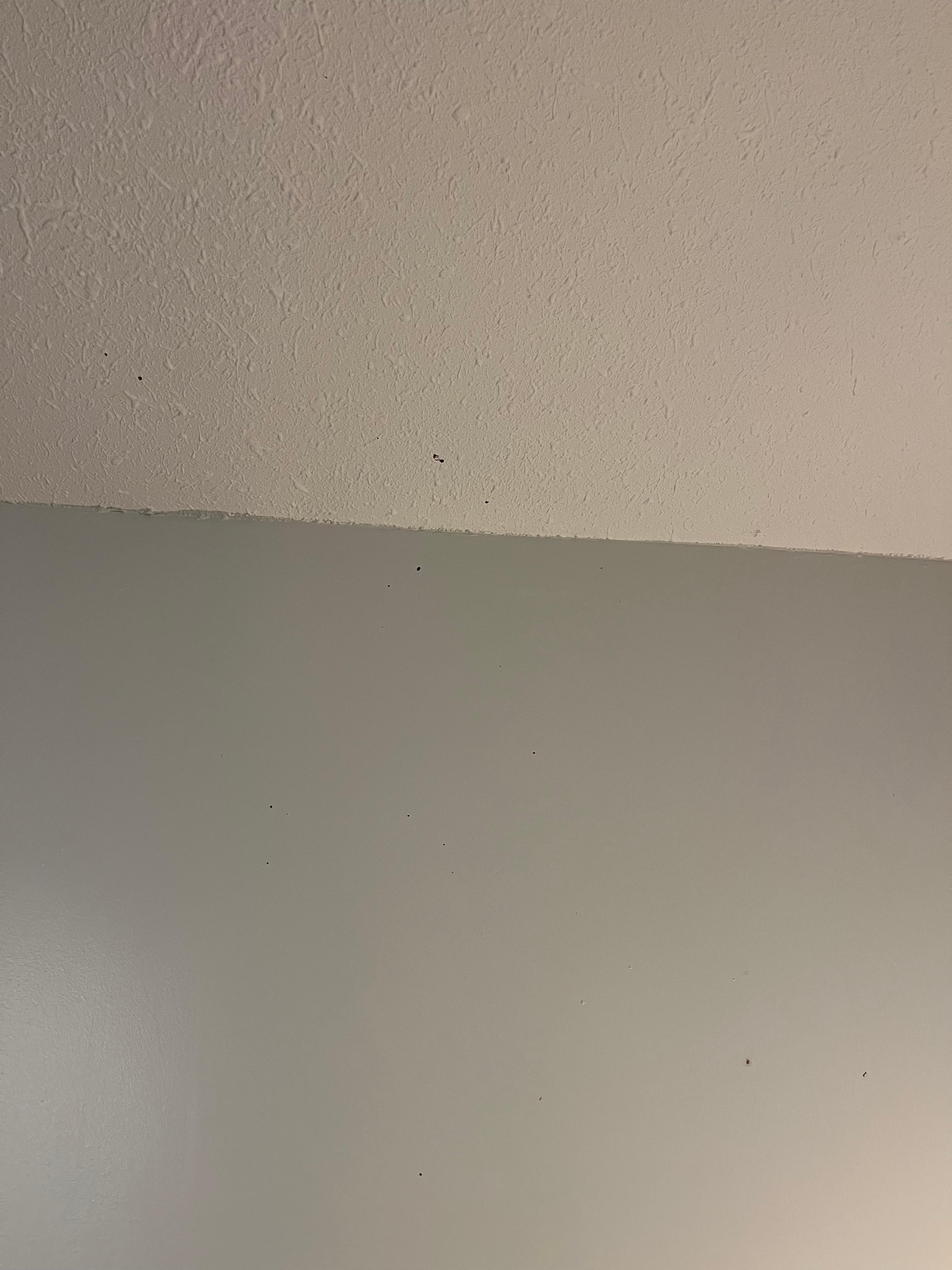 mystery splatter on ceiling 