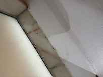 moldy shower