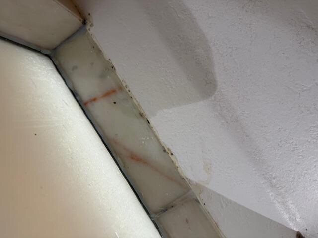 moldy shower