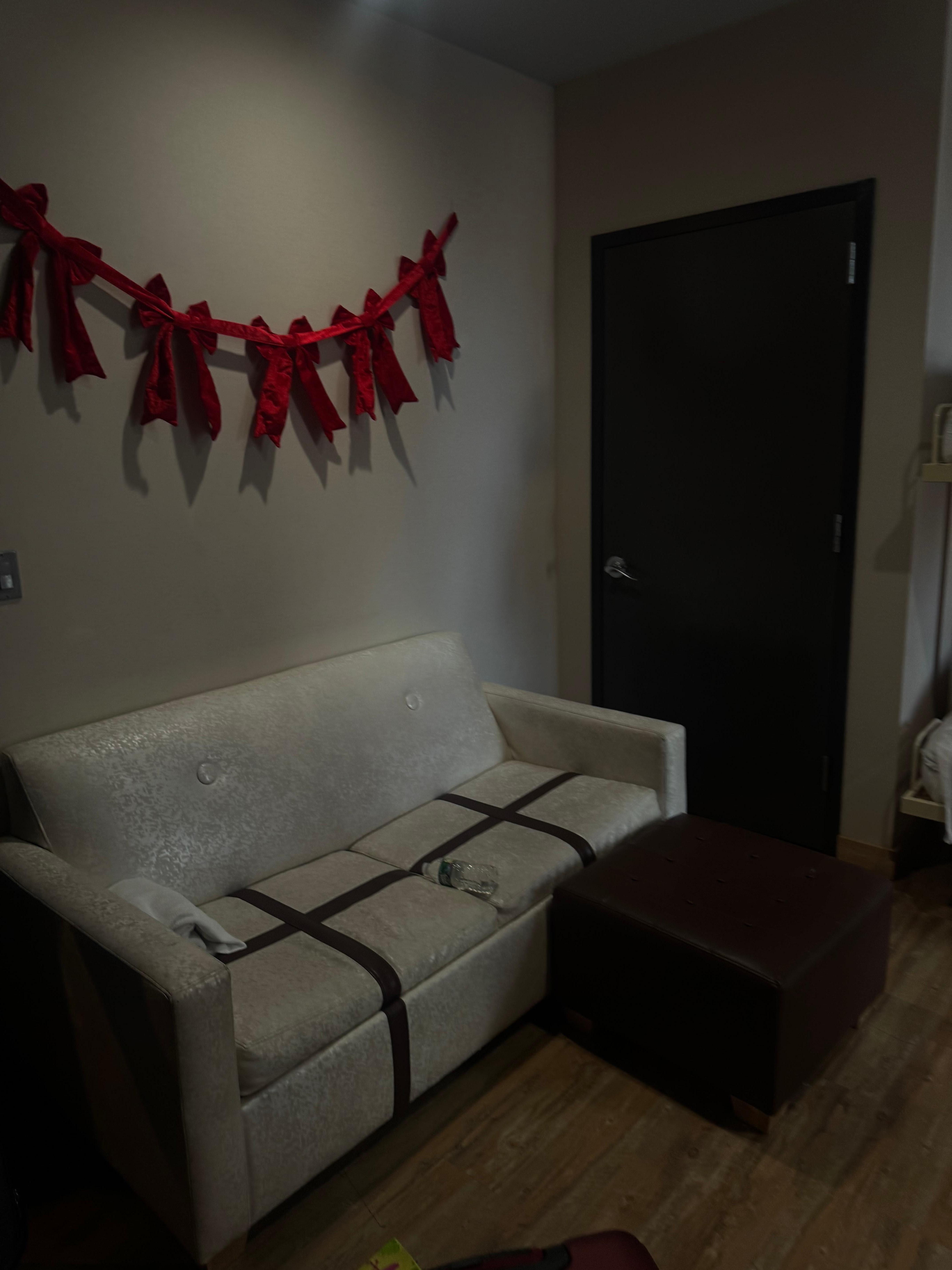 The “living room” space (we brought our own Xmas decorations.” Sofa bed was comfortable. 