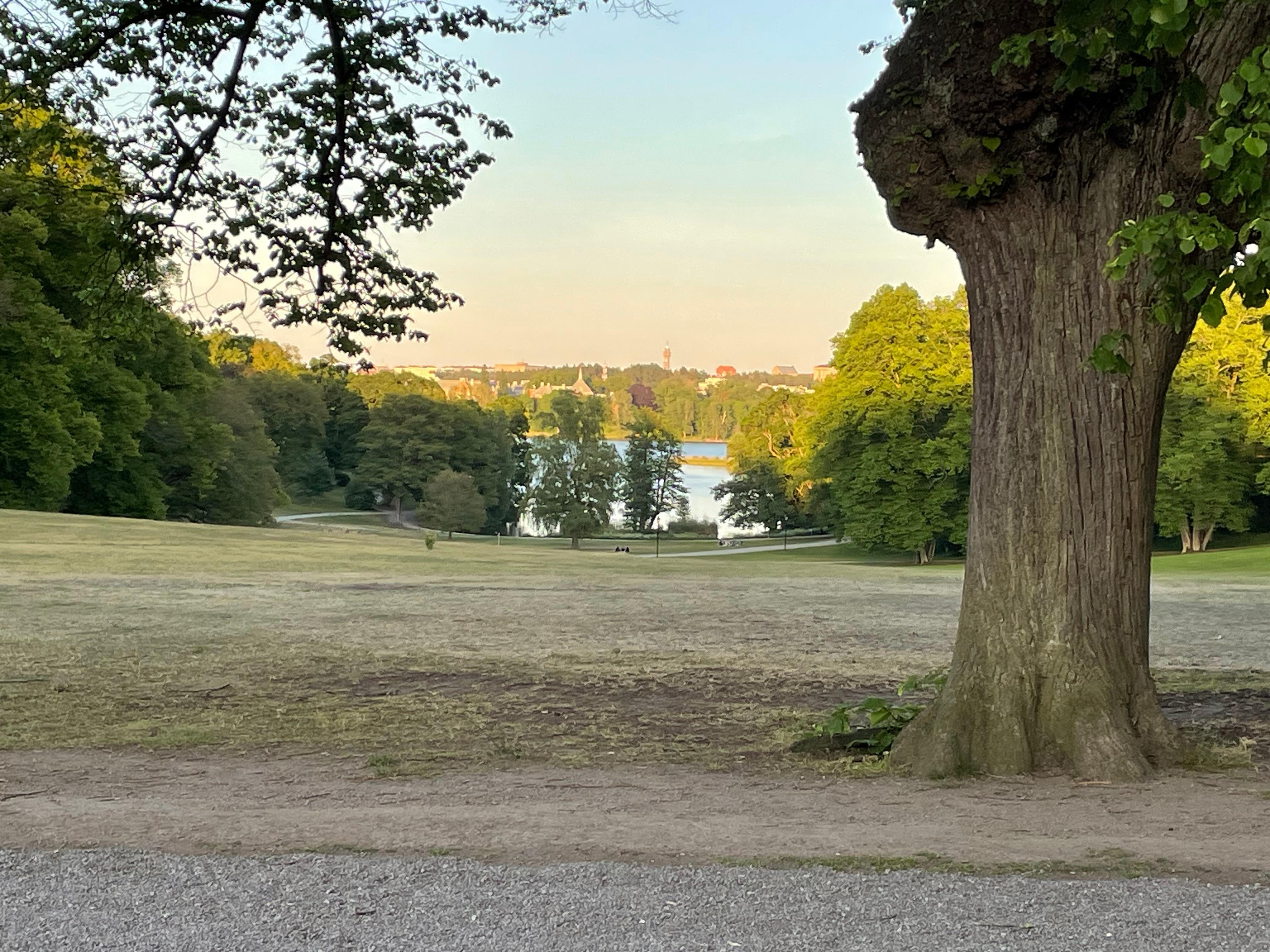 Vackra Hagaparken