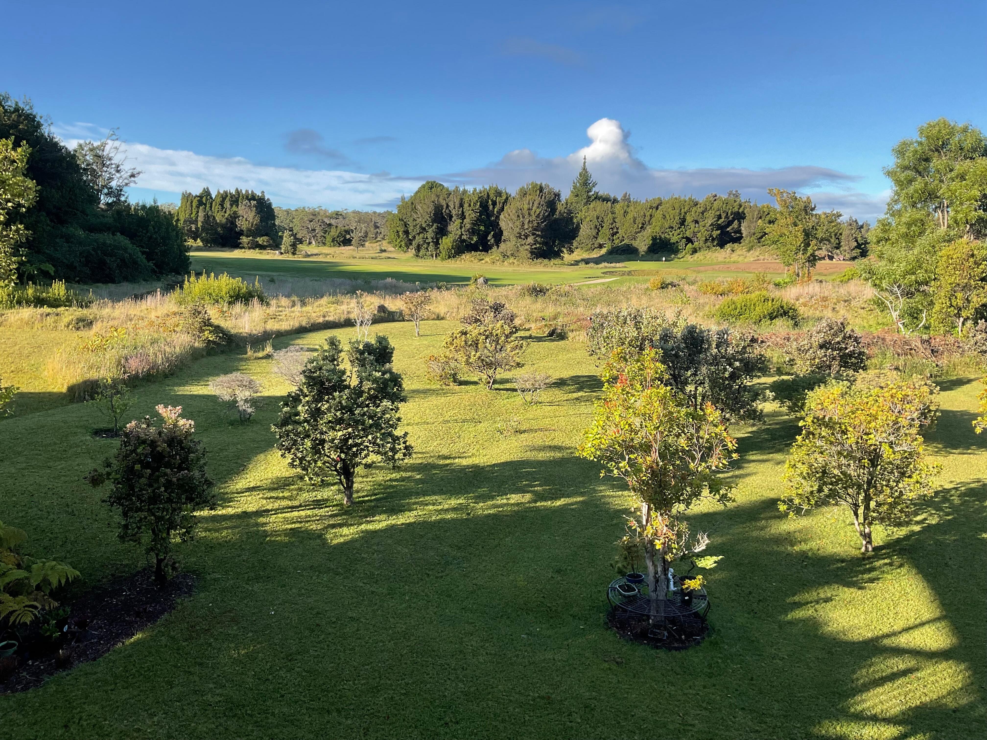 View from house 