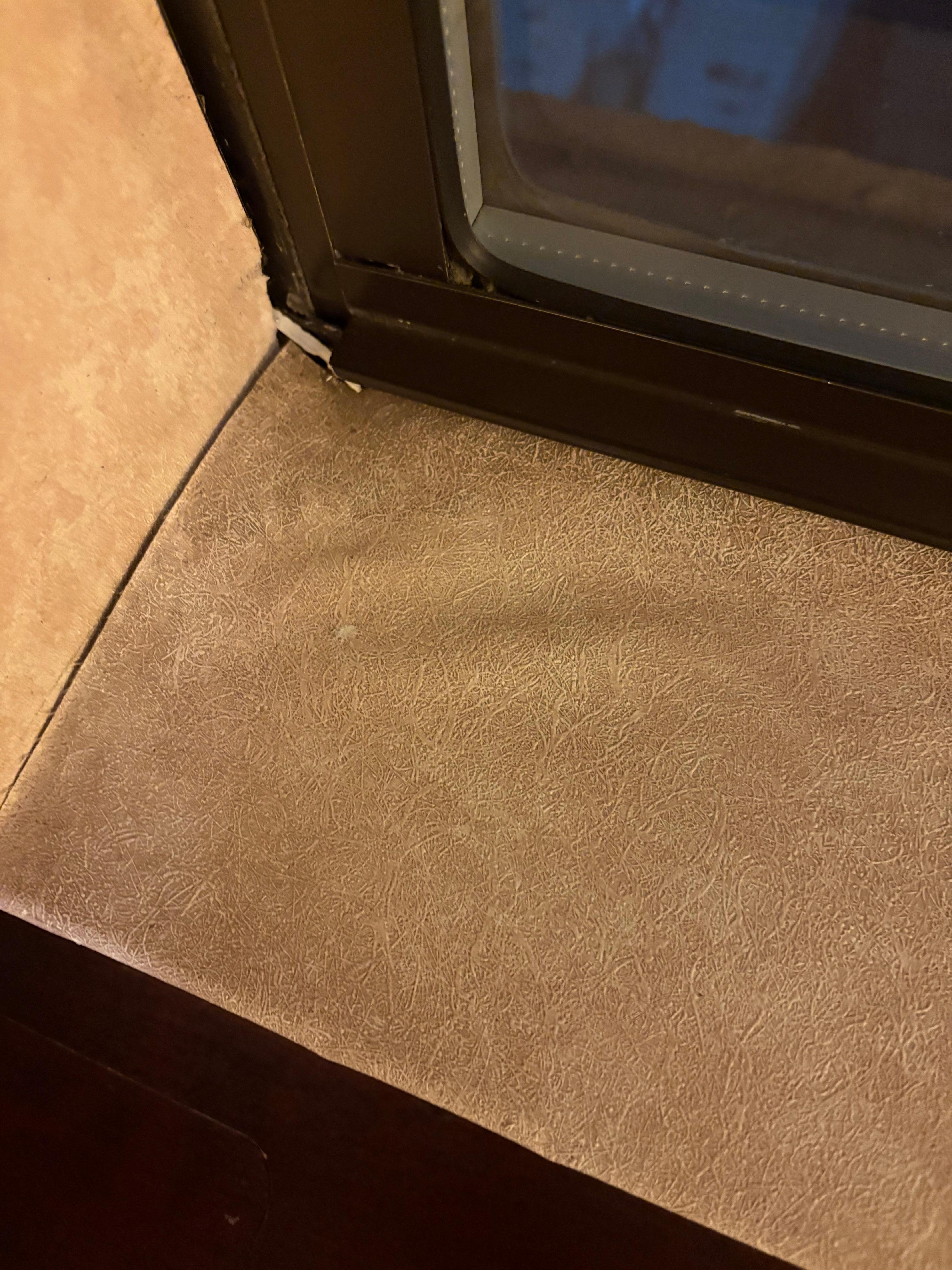 Moldy window sill