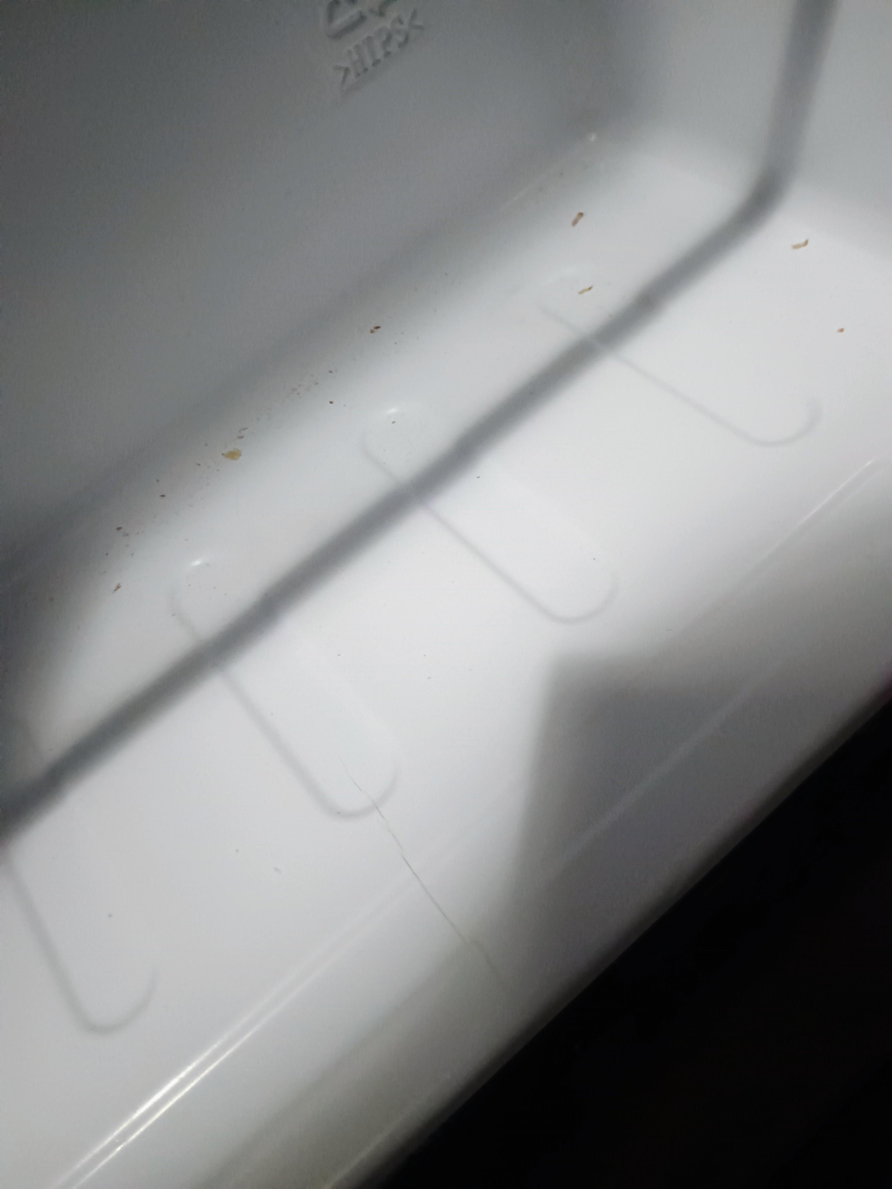 Bottom of fridge - 2nd room.