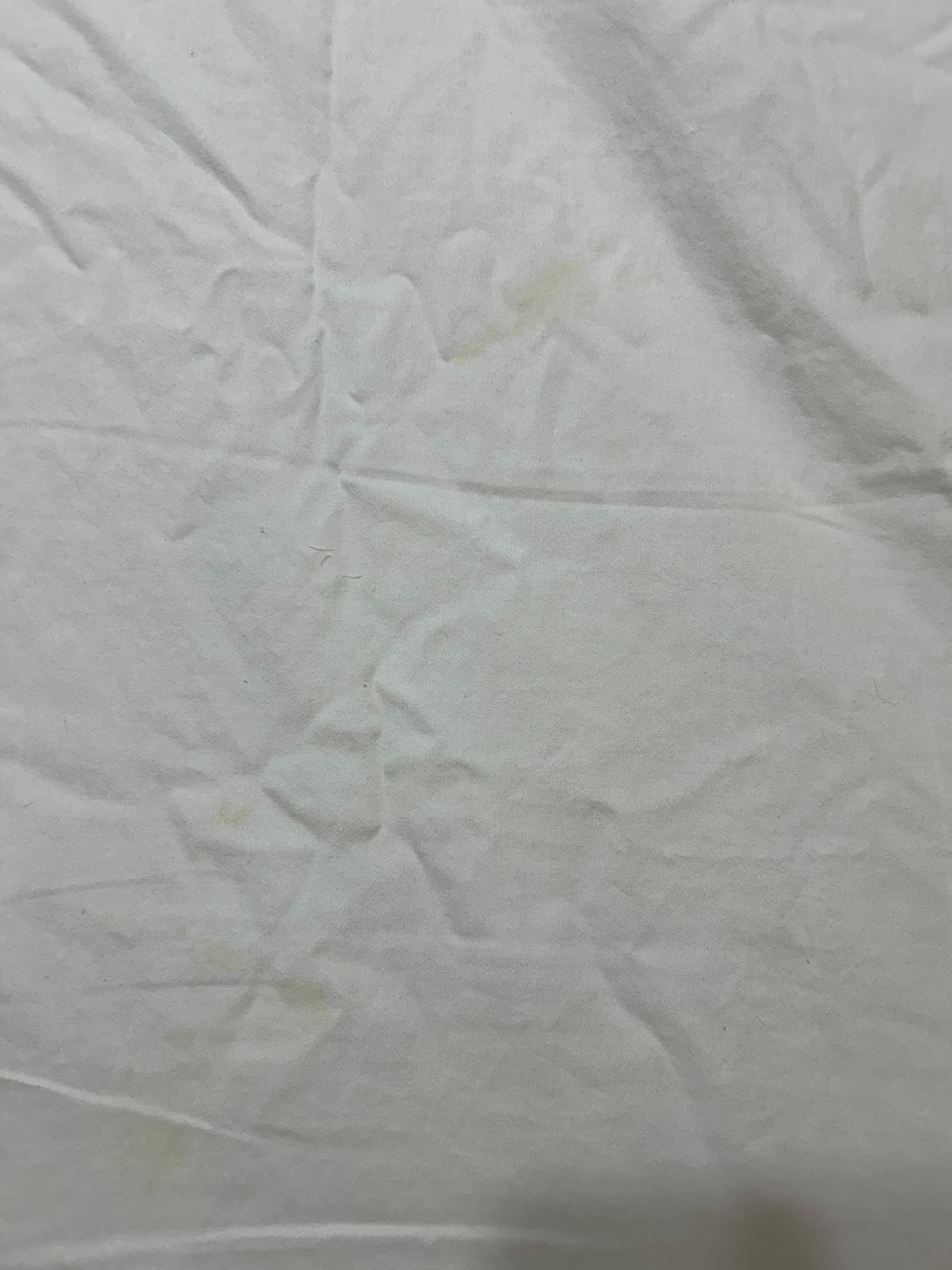Organic debris/ stains on the master bed 