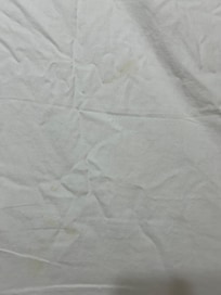 Organic debris/ stains on the master bed