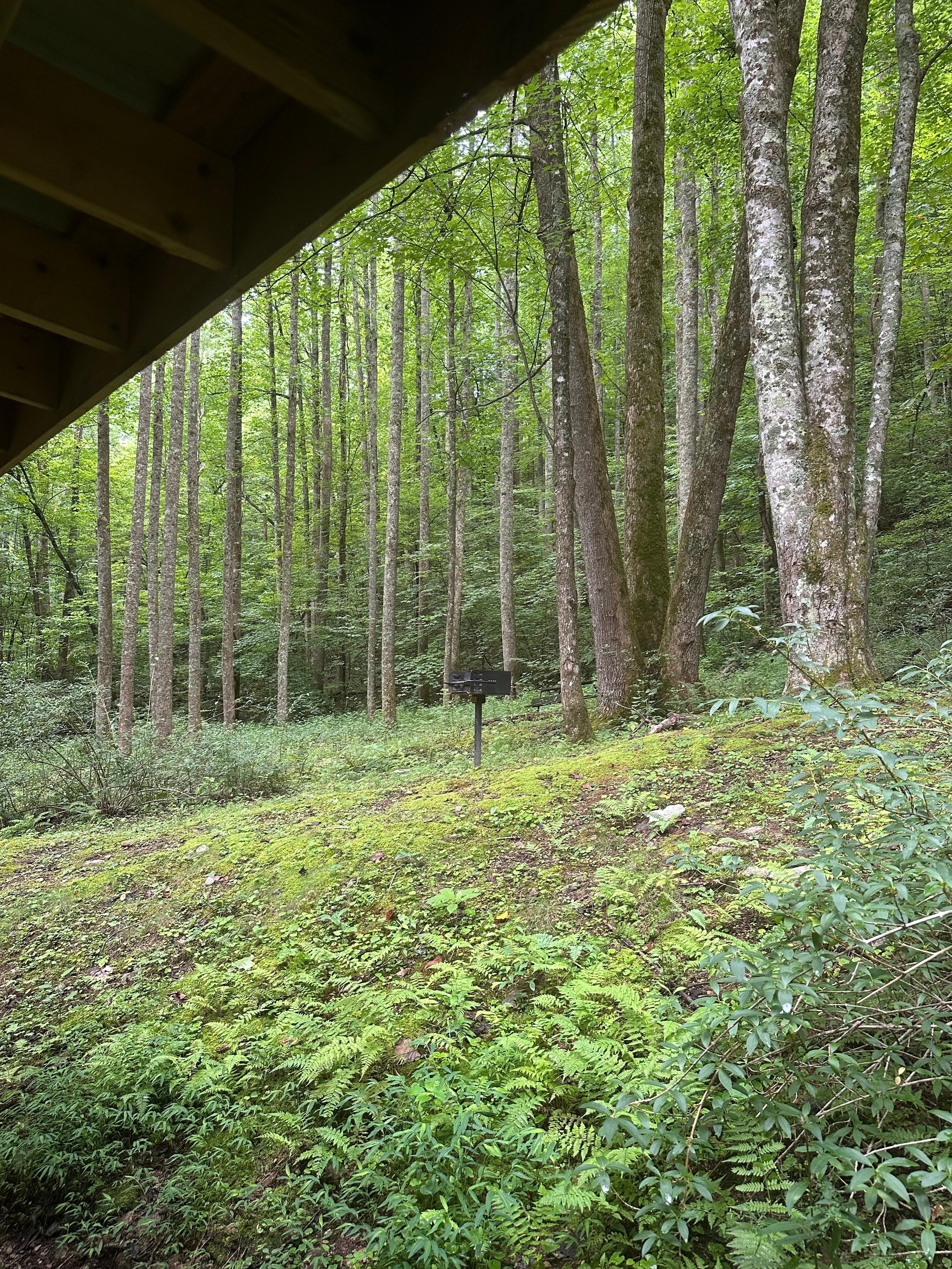 Grill/picnic table out back