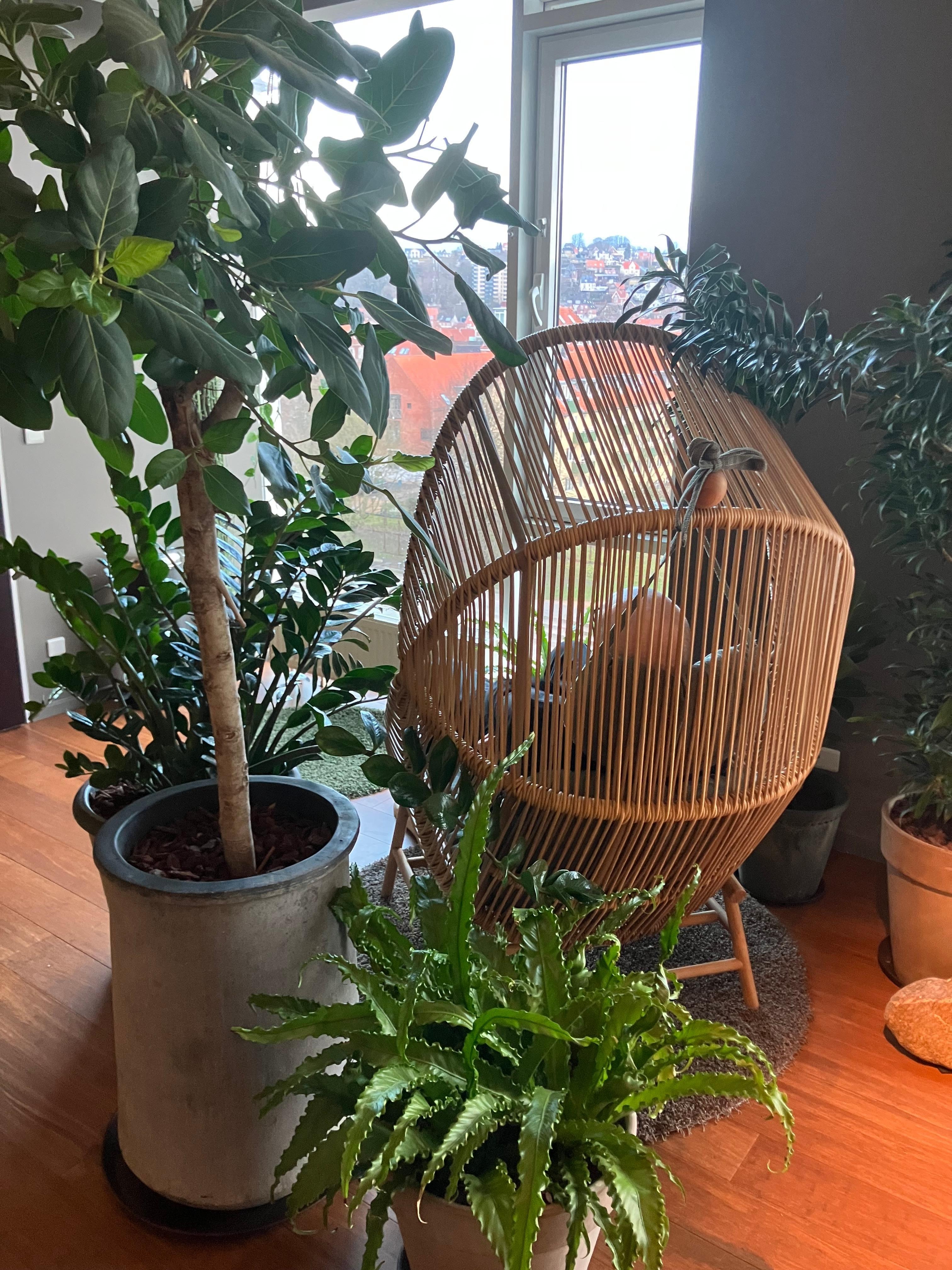 Rum med metotationsmusik og rislende vand 