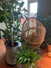 Rum med metotationsmusik og rislende vand