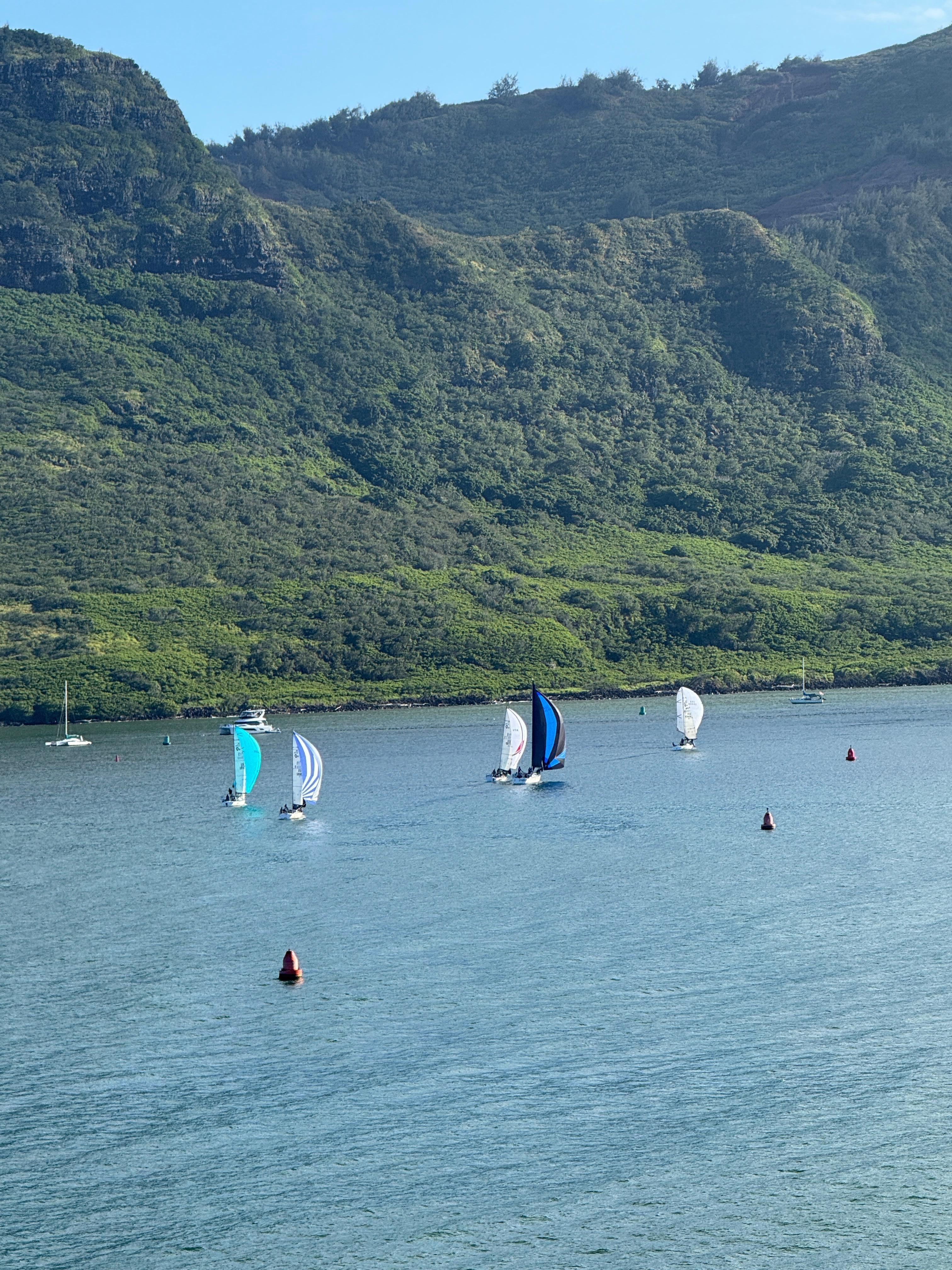 Harbor view 