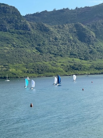 Harbor view