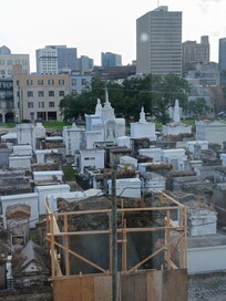 View outside our window