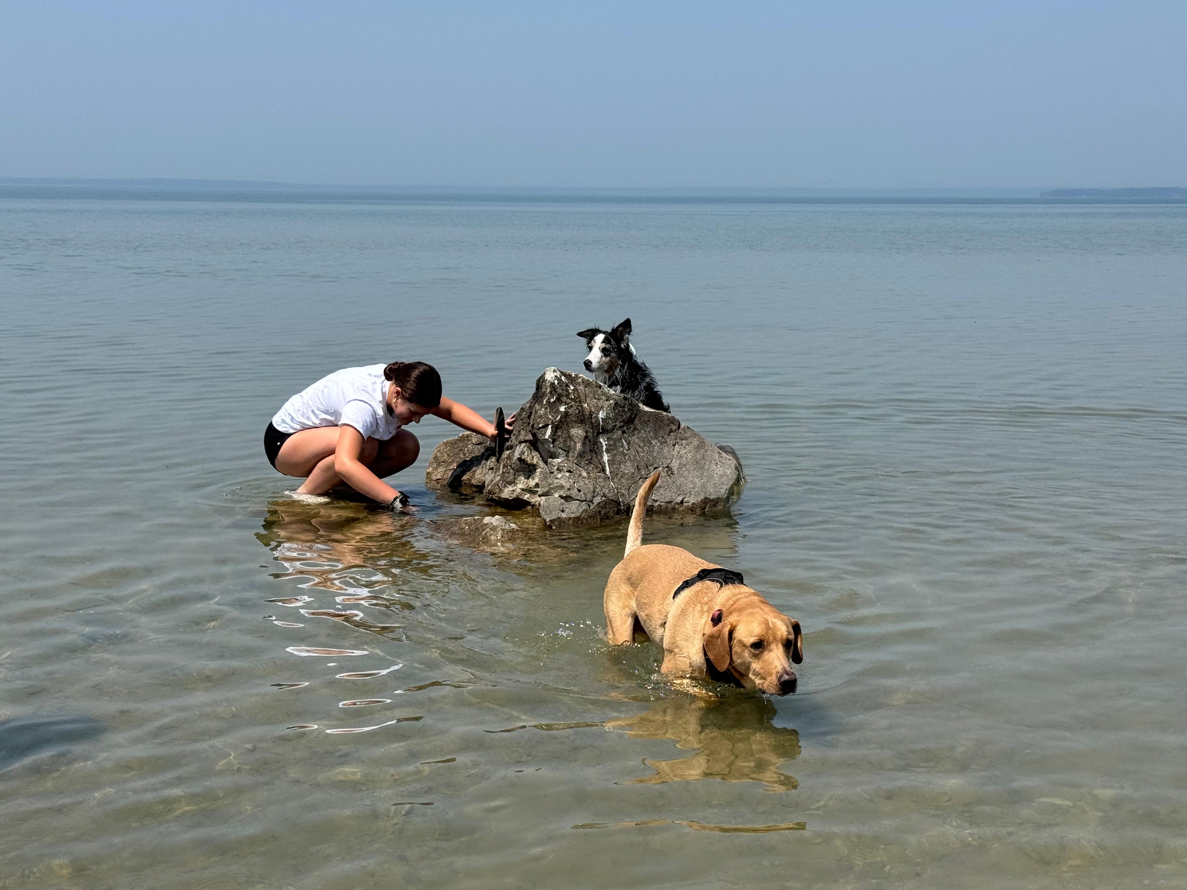 Fun In The Water 