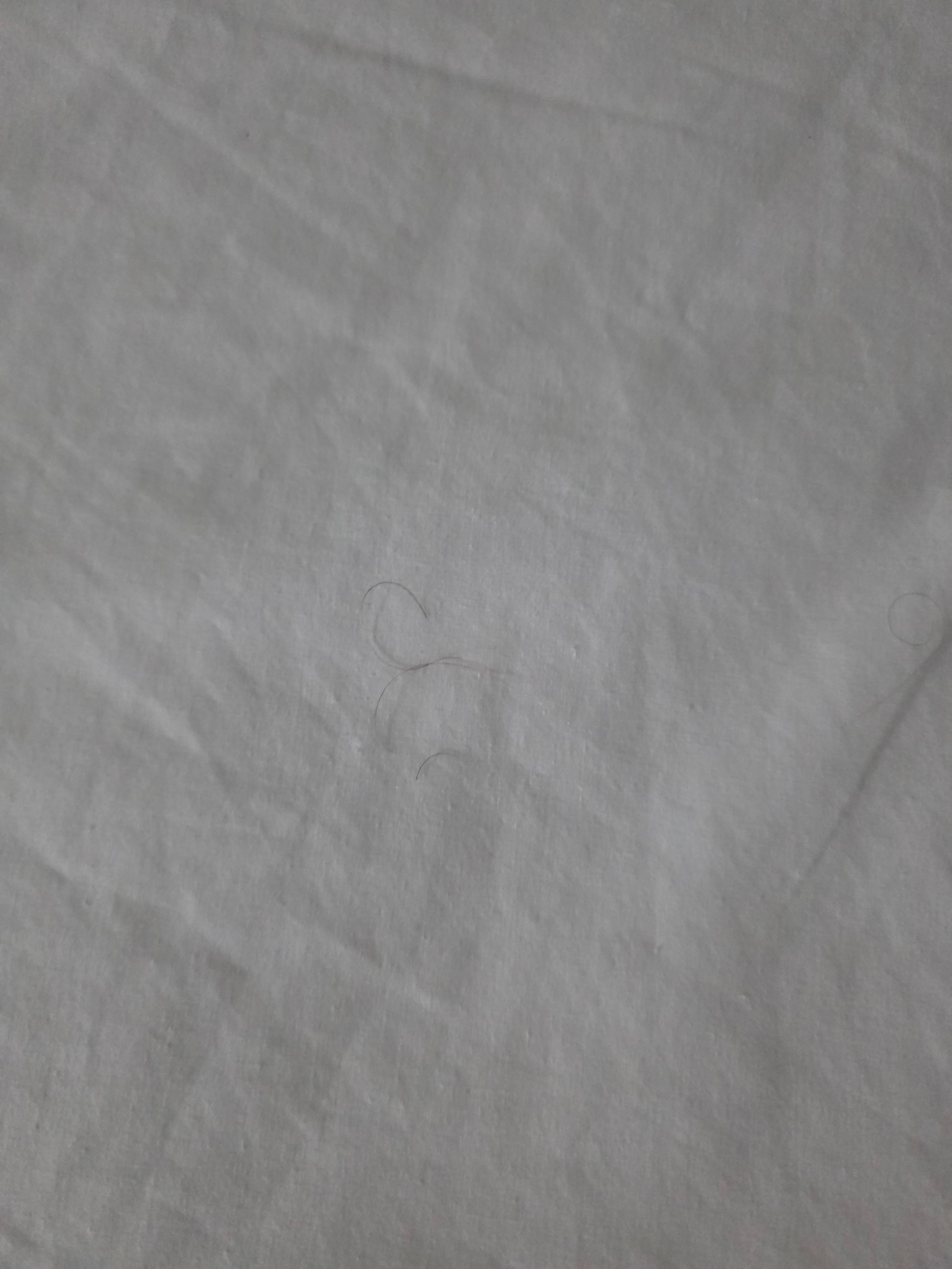 Hair on sheets