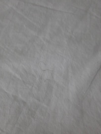 Hair on sheets