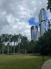 View of City from Park