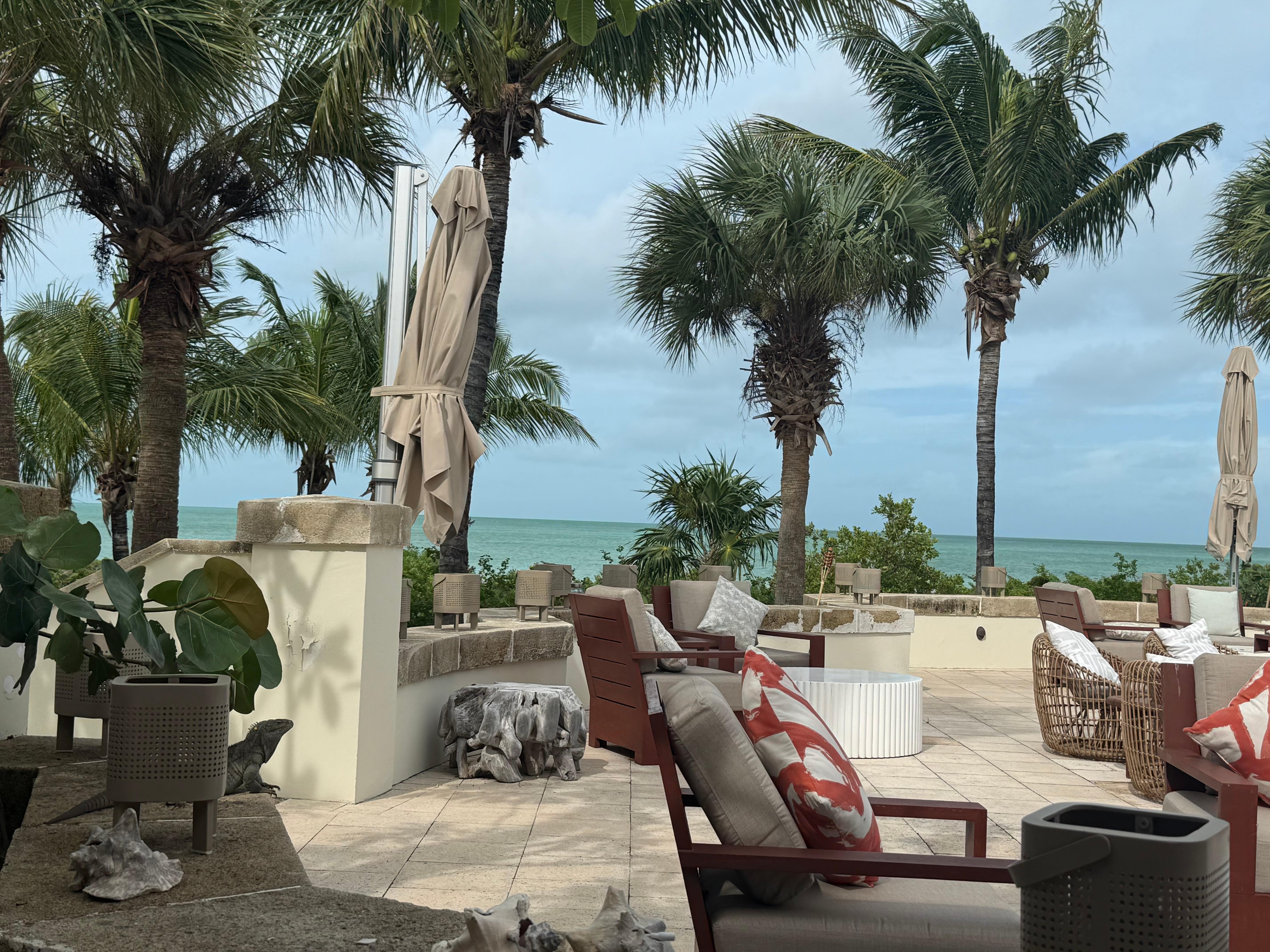 View from Restaurant 