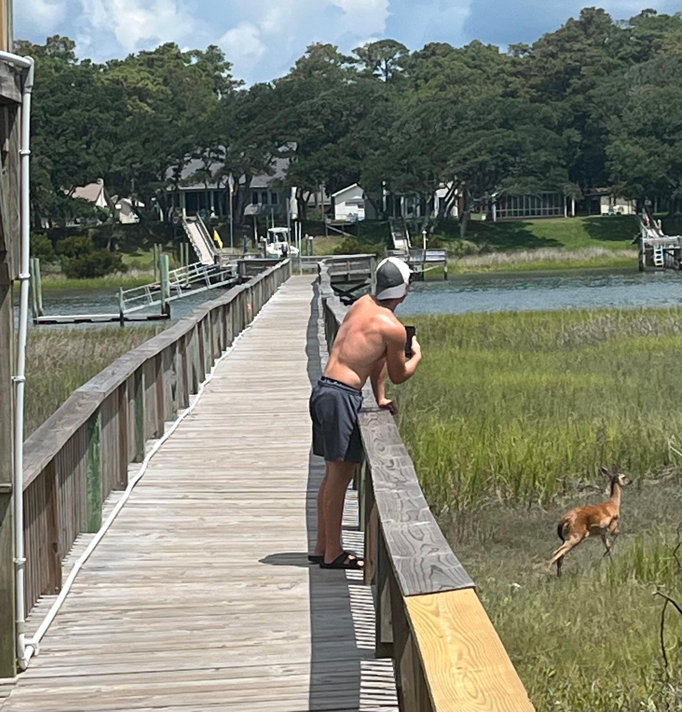 Marsh walkway with a deer visitor