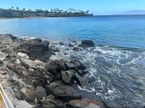 View by the paved walkway to the beach.