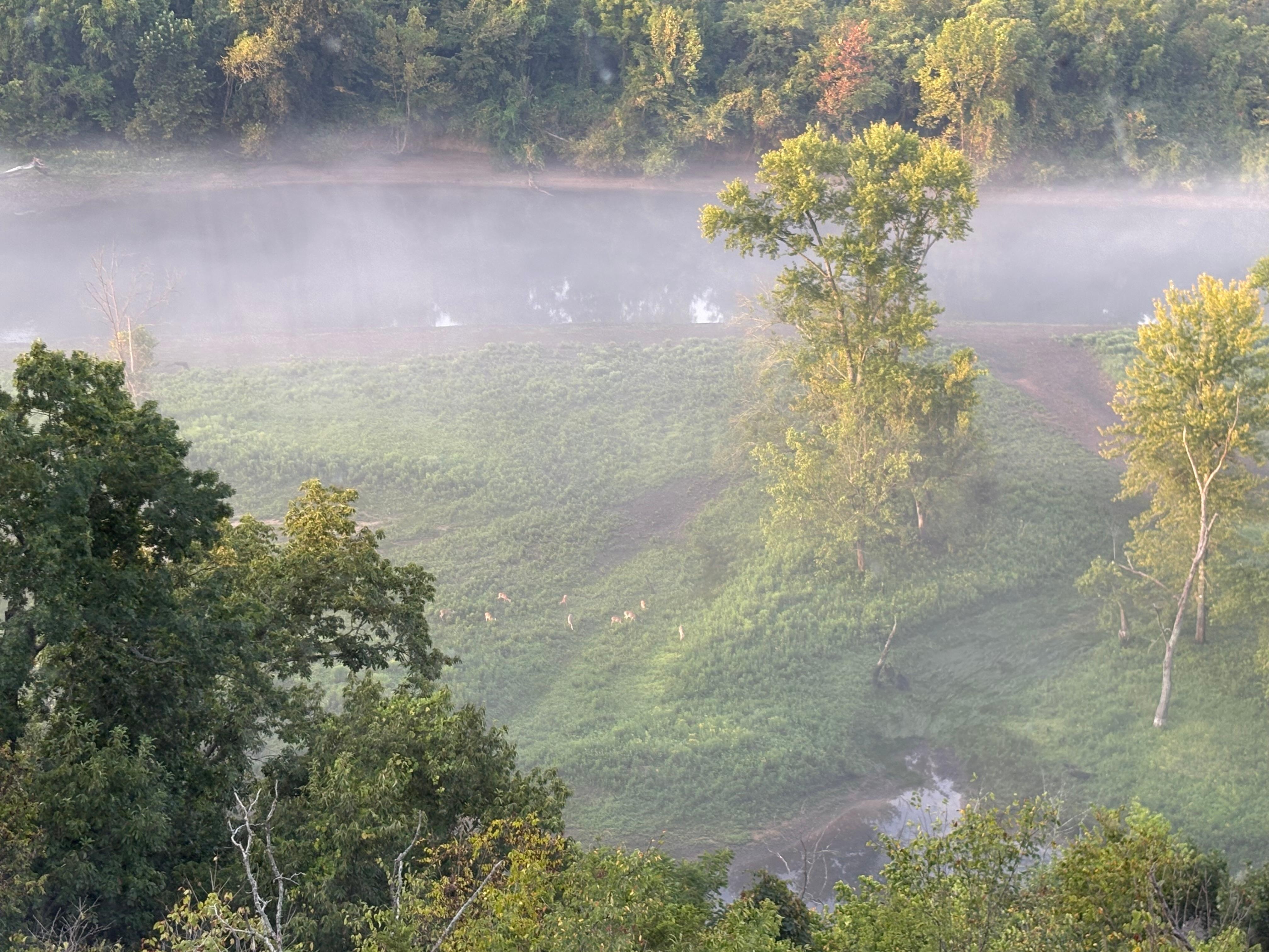 The morning fog over the lake from the sun porch window. 