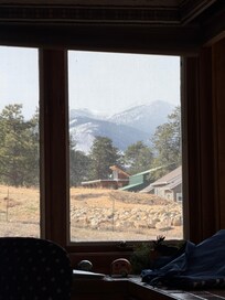 View from the dining room table