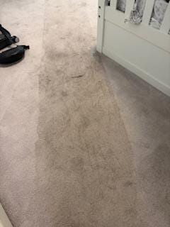 Dirty carpet bunkbed bedroom