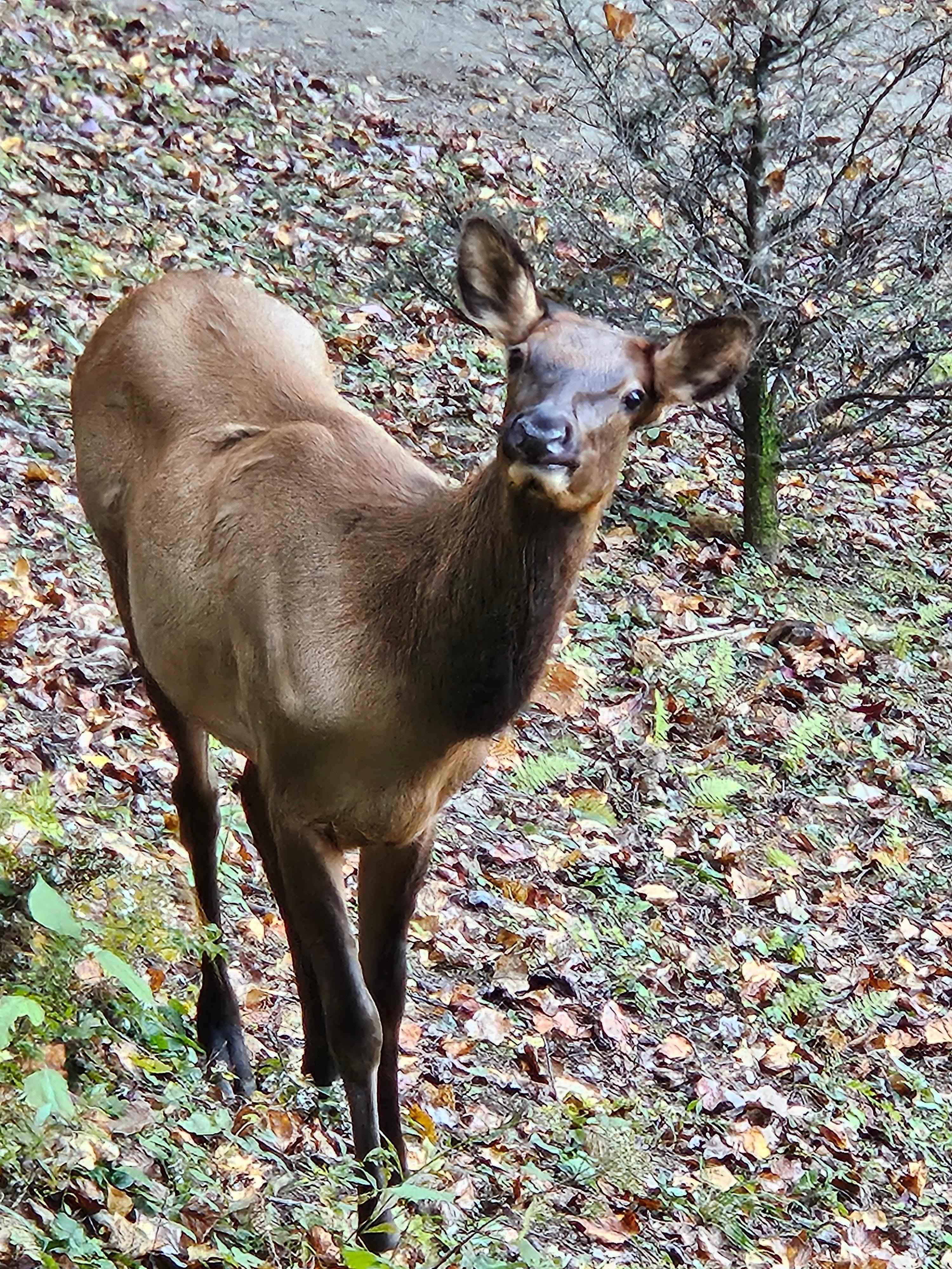 Saying hello. Snuck up on us