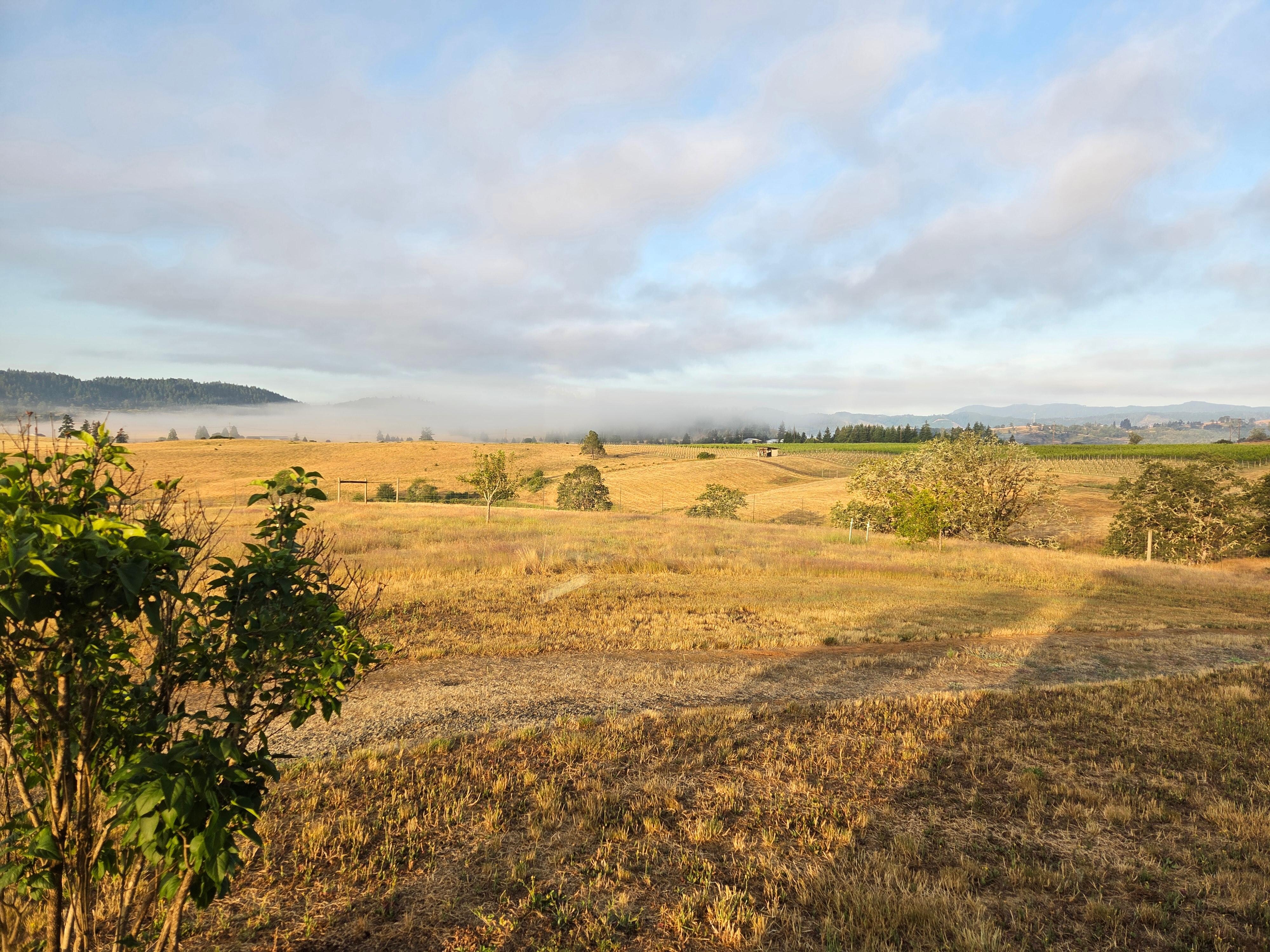 View to the west.