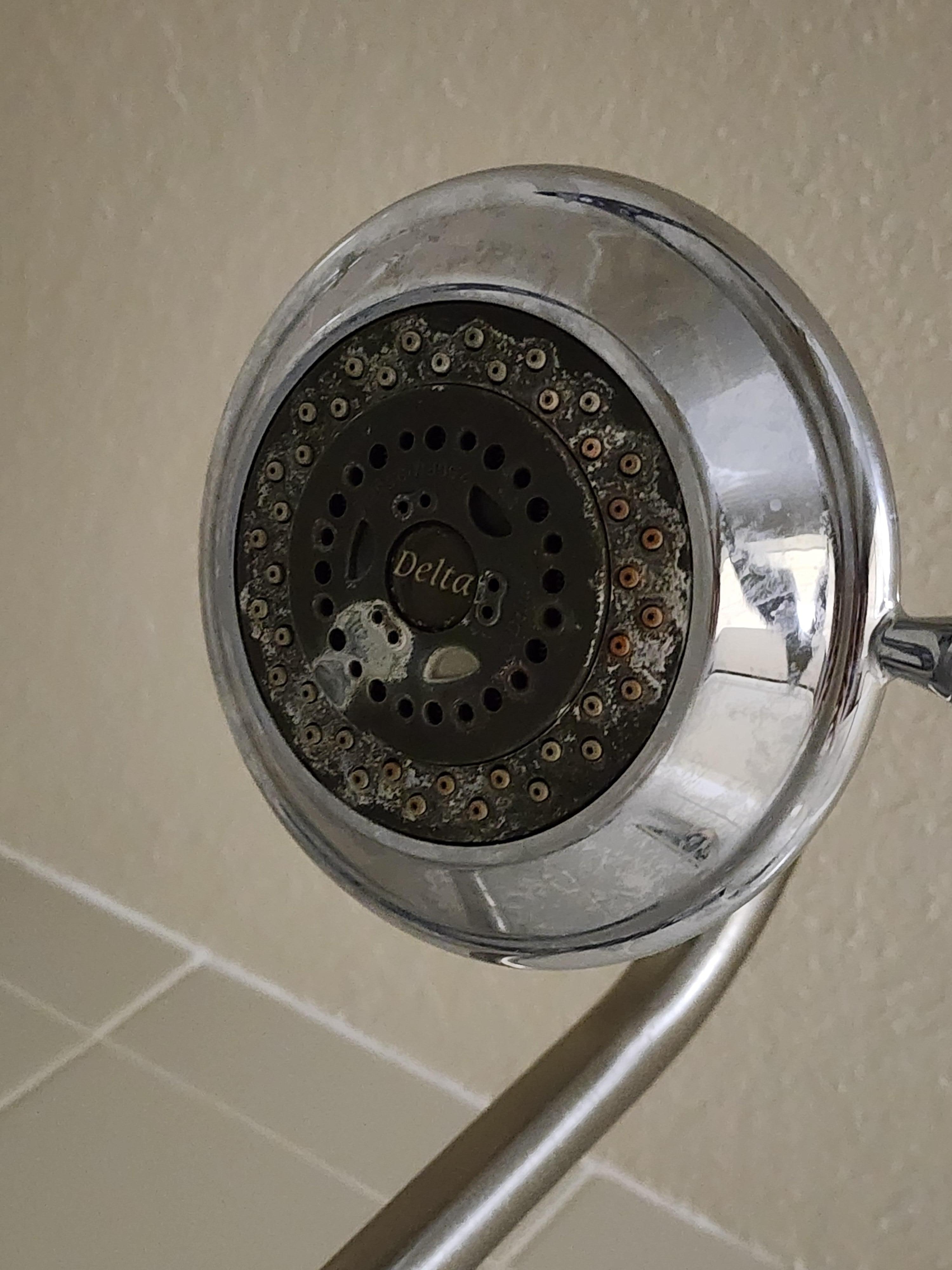 The shower head.