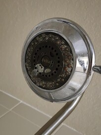 The shower head.