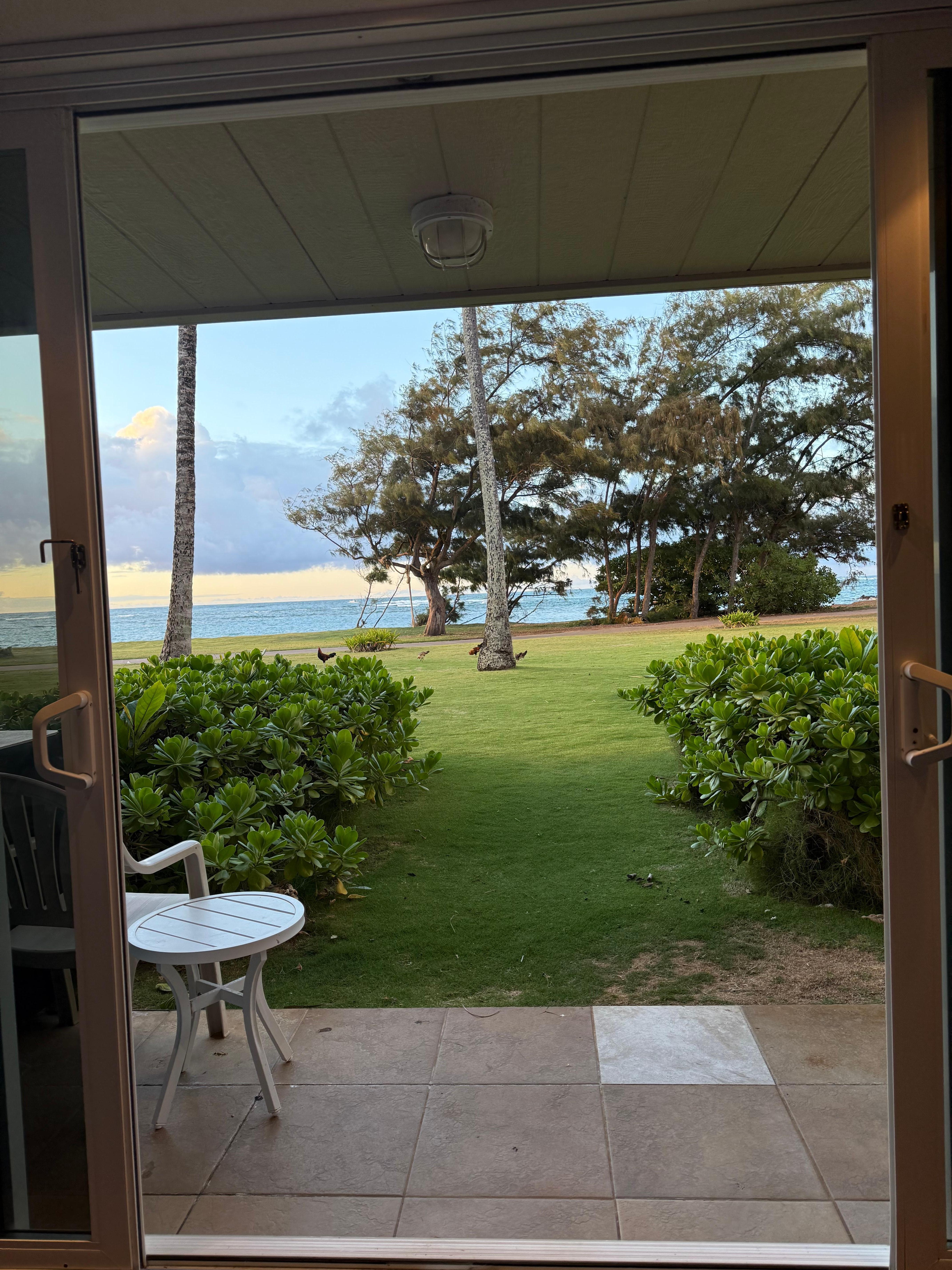 Beautiful panoramic view out our sliding glass doors.