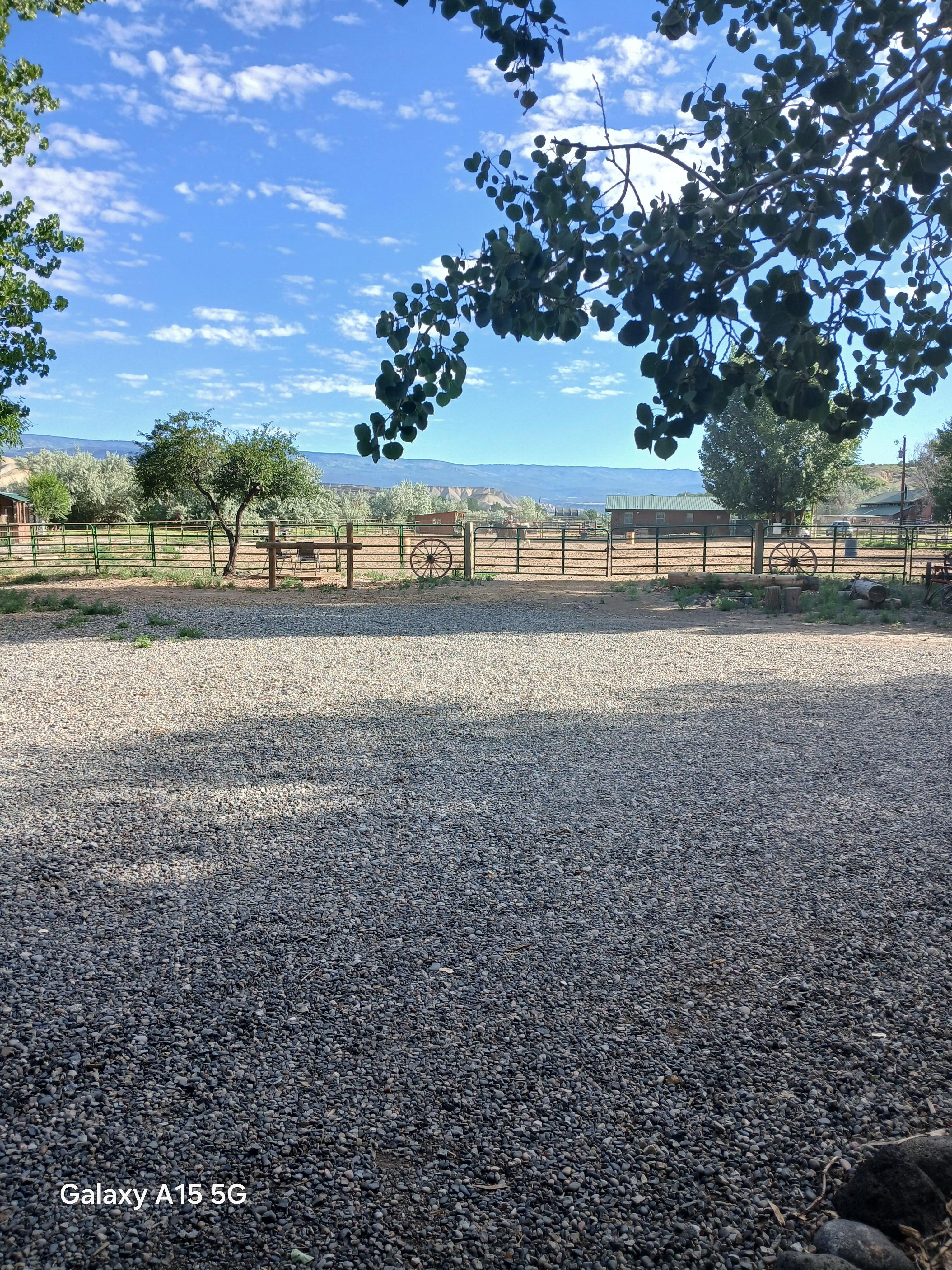 Beautiful view