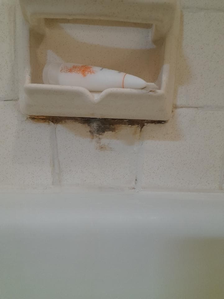 Underneath the soap tray in the shower had been left filthy and nasty by maids.
