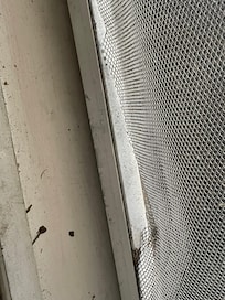 Front screen door