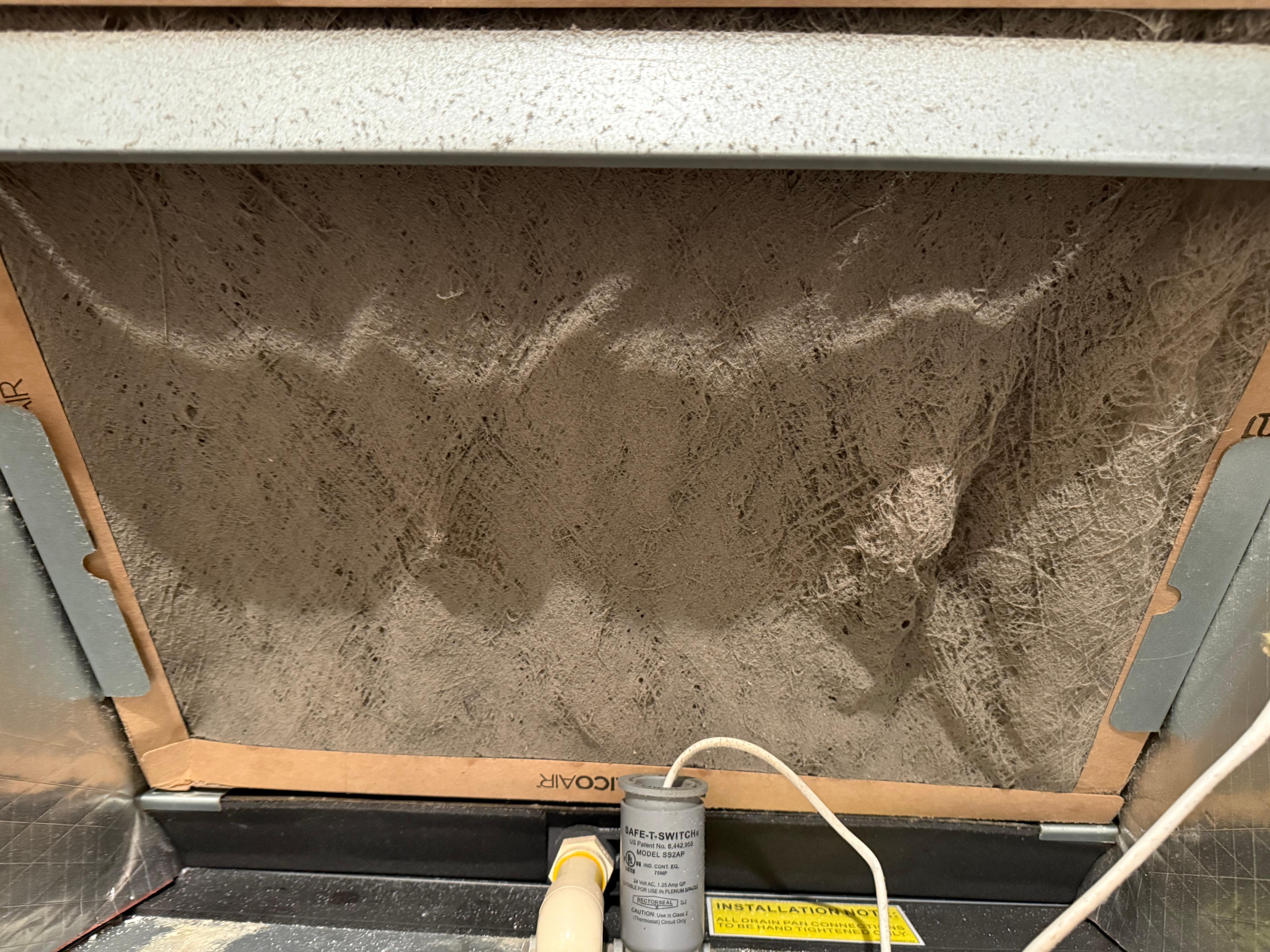 The furnace filter tells a story....