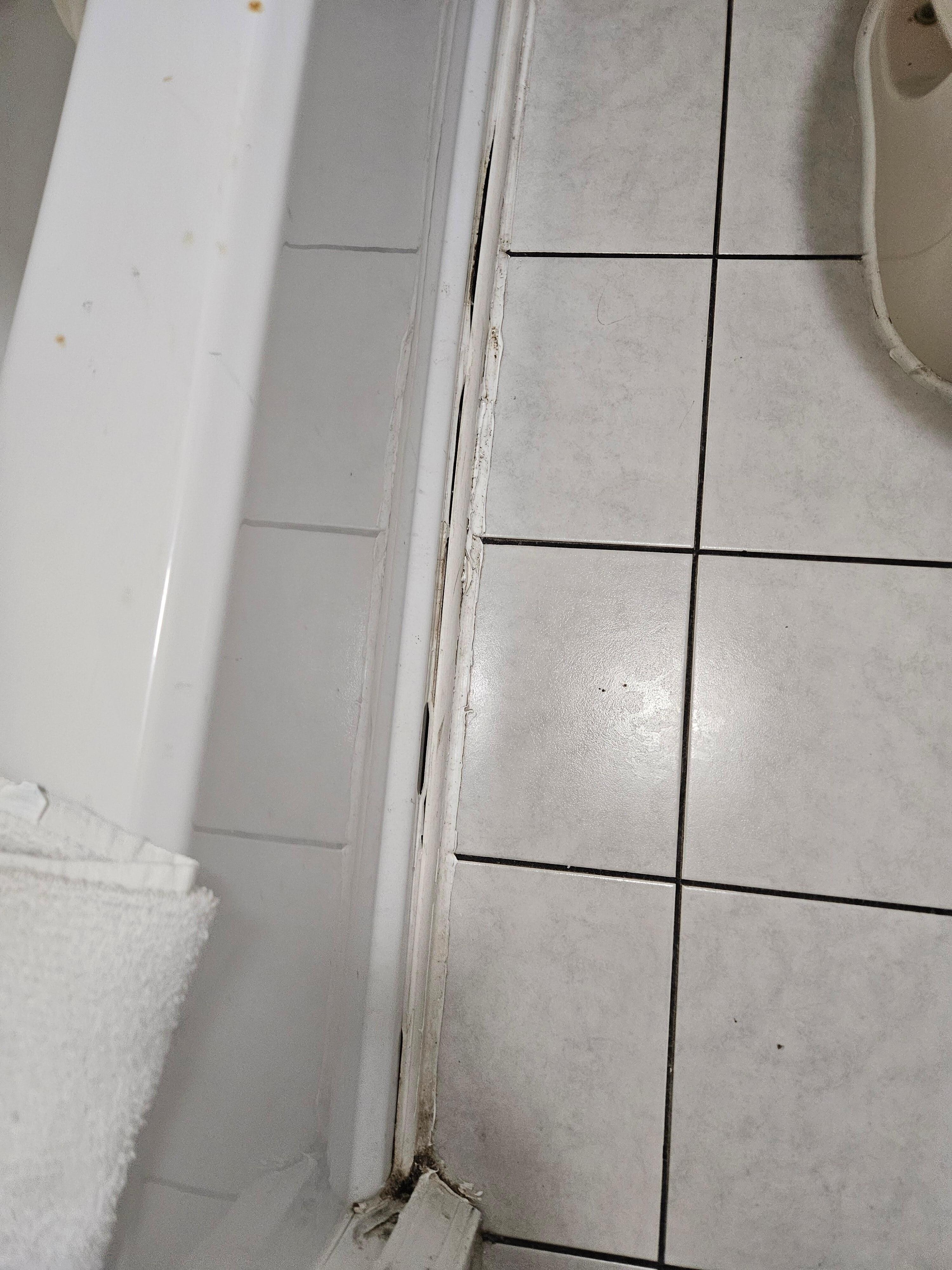 Mold 
