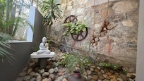 Zen gardens everywhere