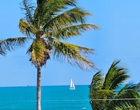 From the deck