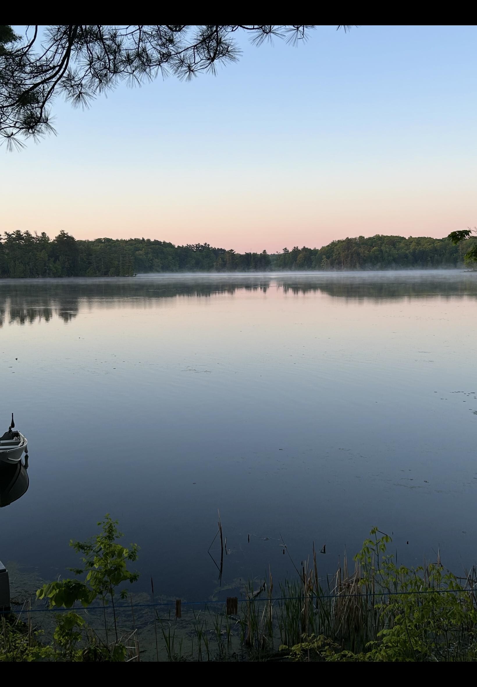 Sunrise at the lake. 