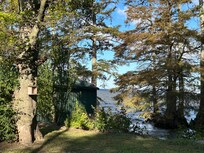 View of Reelfoot Lake