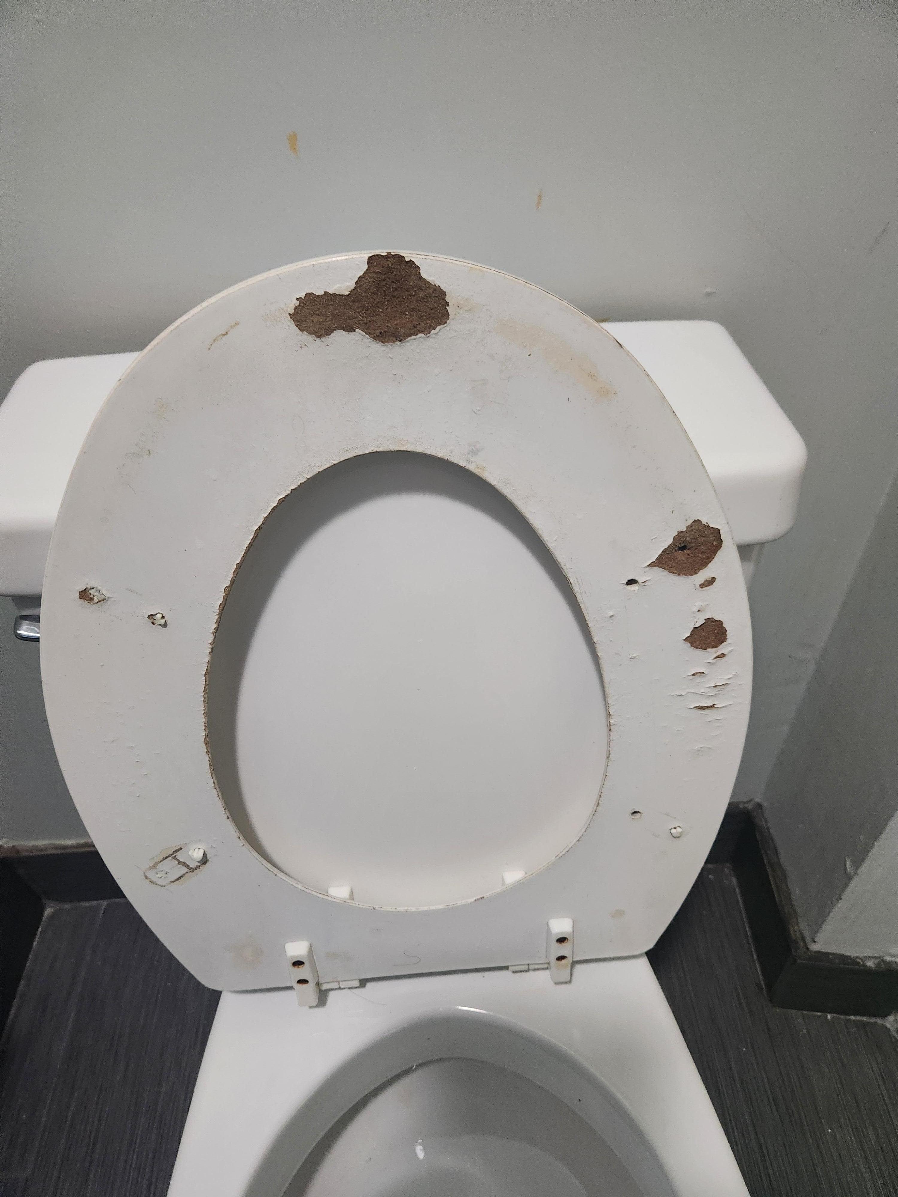 Toilet seat