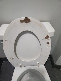 Toilet seat