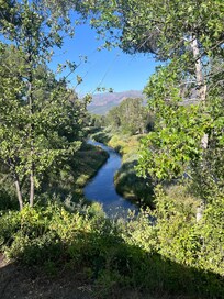 Taken from the deck