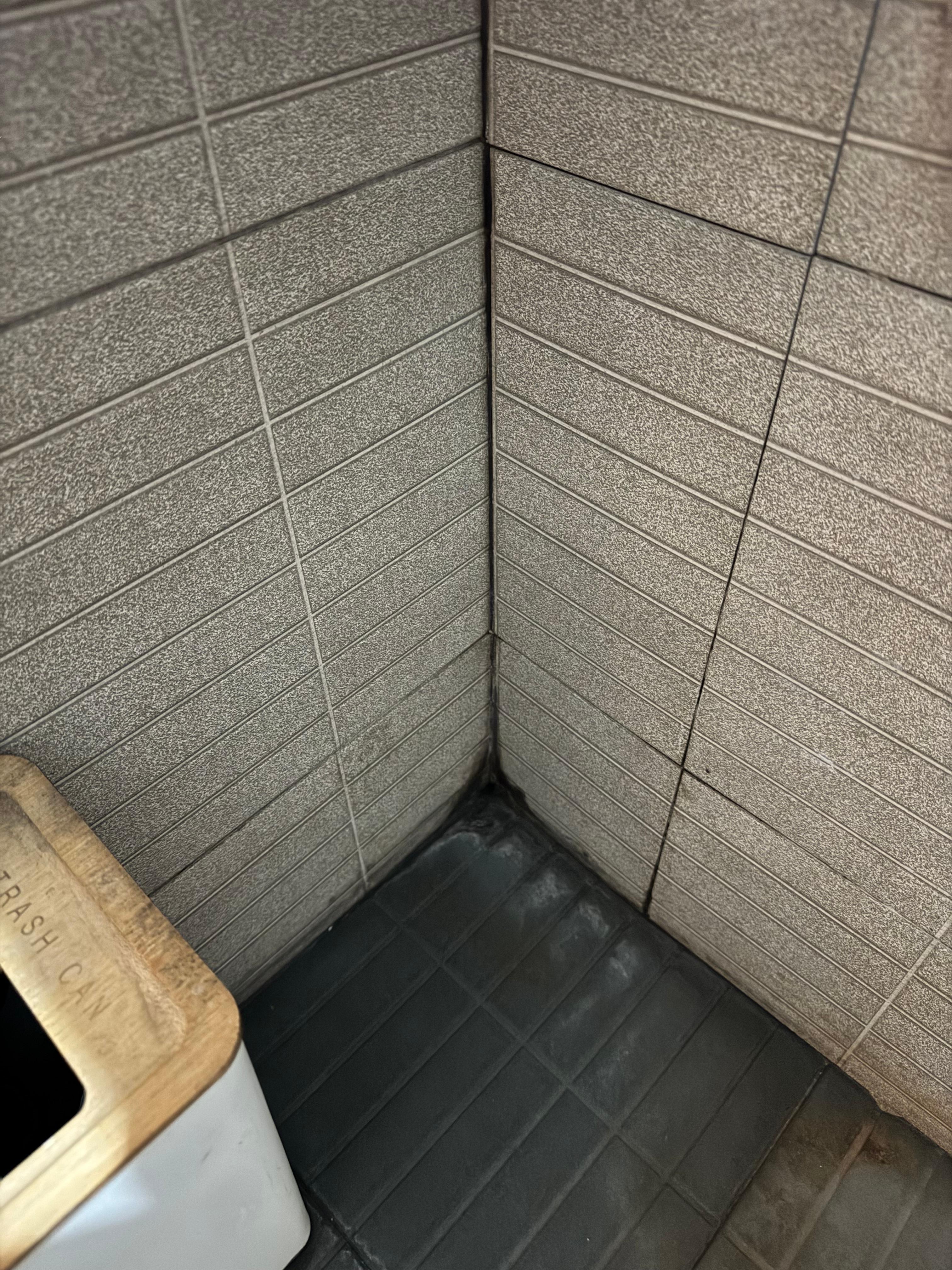 This area is not wet, it’s mold