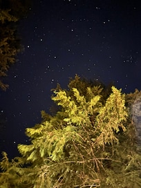 The stars by the fire pit!