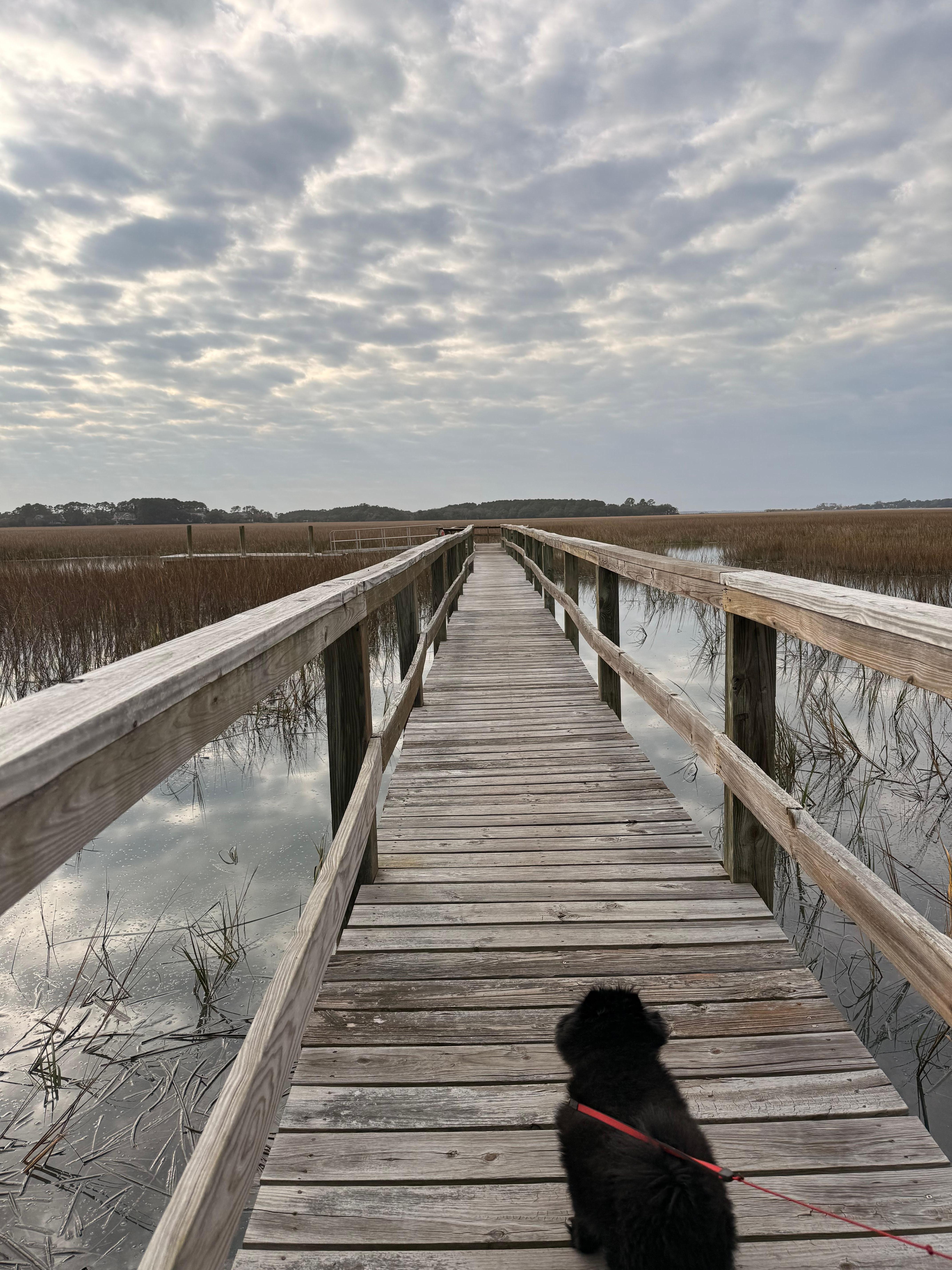 The dock just a few yards away. 