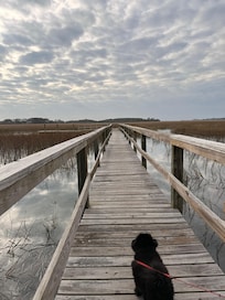 The dock just a few yards away.