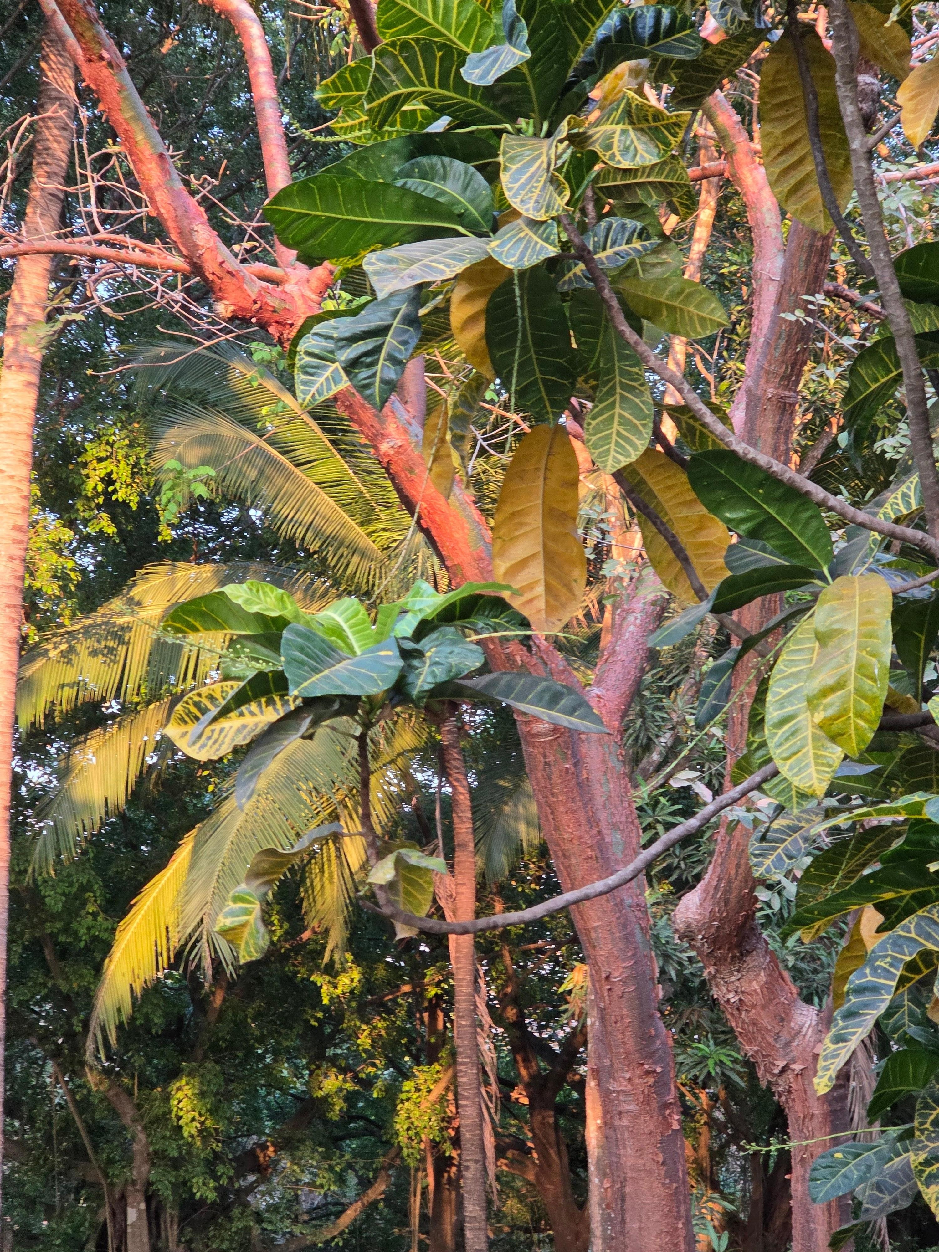 The back deck over the pool lights on deck