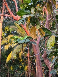 The back deck over the pool lights on deck